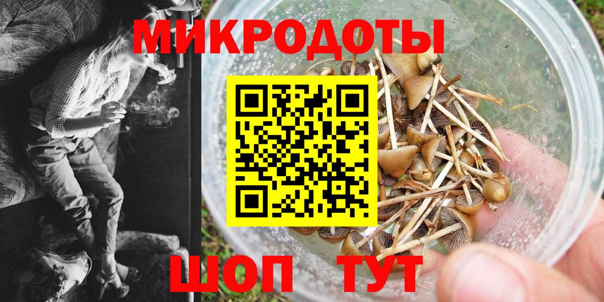 Галлюциногенные грибы GOLDEN TEACHER  что такое   Прокопьевск  Вход с VPN 