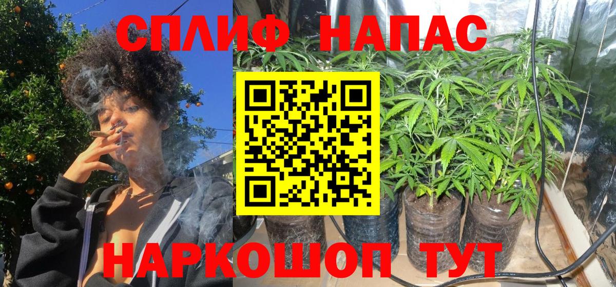 МАРИХУАНА планчик  Вход с VPN  МАРИХУАНА сатива  Конопля Amnesia  Прокопьевск 